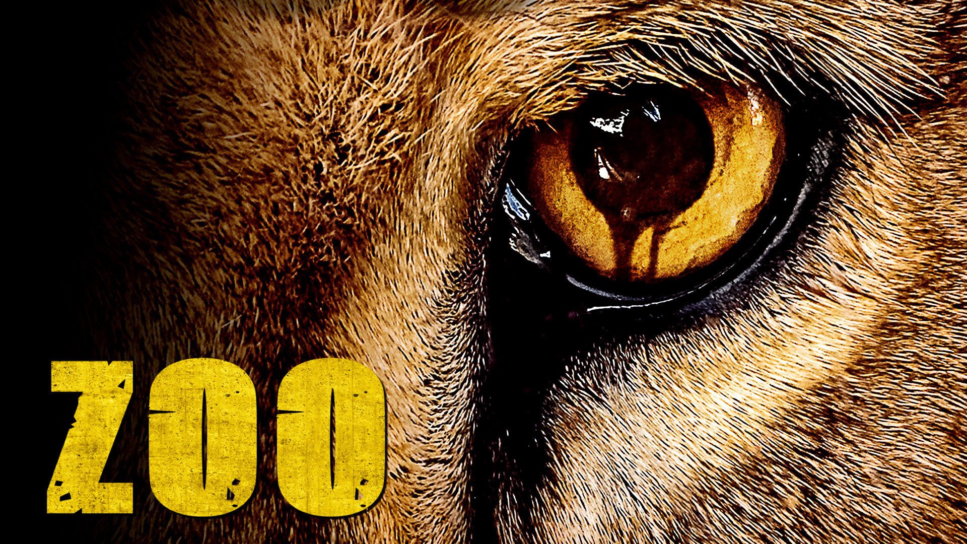 Recensione: ZOO