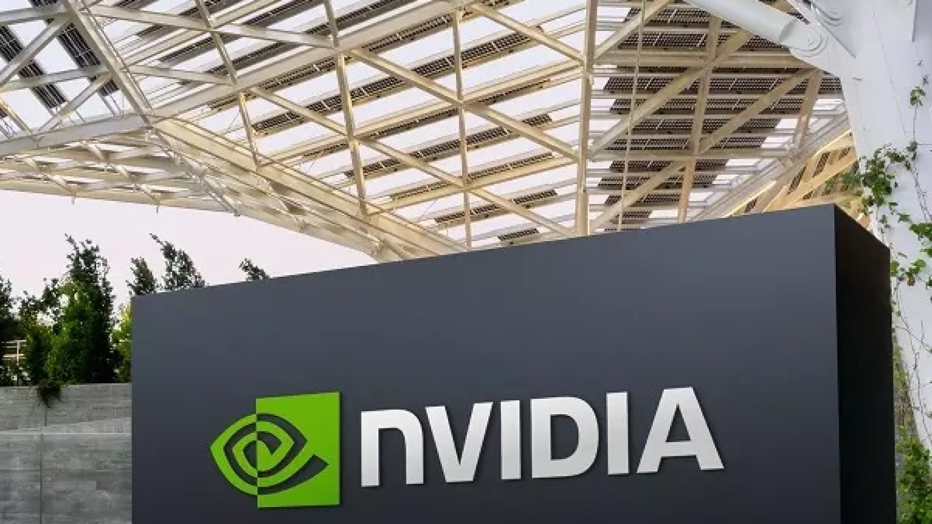 Nvidia driver 546.17 problemi crash BSOD